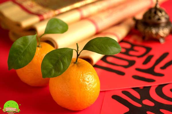 ส้มจี๊ด หรือที่เรียกกันอีกชื่อหนึ่งว่า ต้นกิมจ๊อ เป็นพืชท้องถิ่นของประเทศจีน